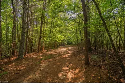 Tbd Beacon Lane, Mount Airy, NC 27030 - Photo 5