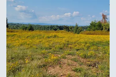 0 Wright Road, Westfield, NC 27053 - Photo 15