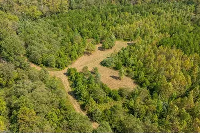 0 Wright Road, Westfield, NC 27053 - Photo 7