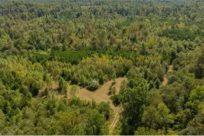 0 Wright Road, Westfield, NC 27053 - Photo 11