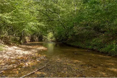 0 Wright Road, Westfield, NC 27053 - Photo 13