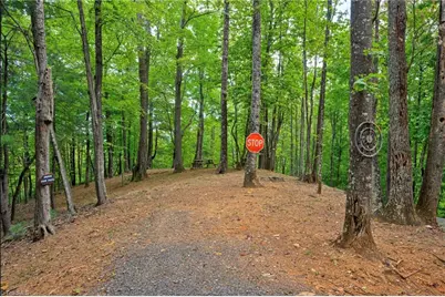 0000 Chestnut Grove Road, Millers Creek, NC 28651 - Photo 19