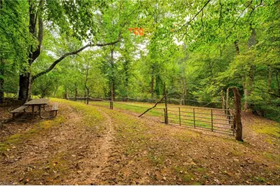 0000 Chestnut Grove Road, Millers Creek, NC 28651 - Photo 13