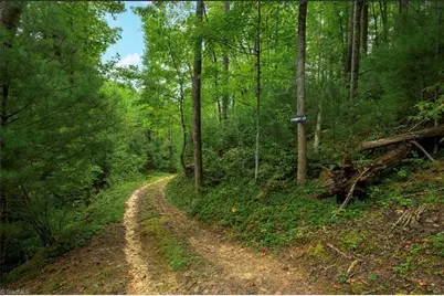 0000 Chestnut Grove Road, Millers Creek, NC 28651 - Photo 15