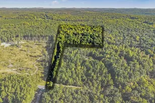 3182 Bethel Lucas Rd, Asheboro, NC 27203 - Photo 39