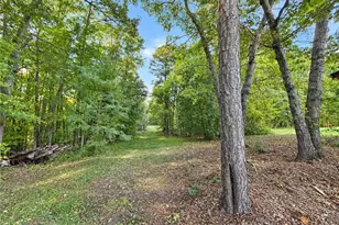 158 Border Ln, Pinnacle, NC 27043 - Photo 5