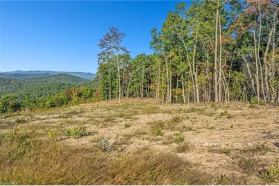 Tract 99 Widow Mountain Drive, McGrady, NC 28649 - Photo 15