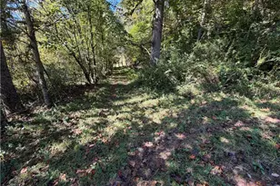 168 Hiatt Rd, Mount Airy, NC 27030 - Photo 33