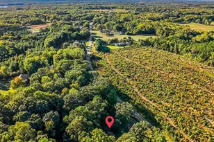 390 Mizpah Church Rd, Reidsville, NC 27320 - Photo 3