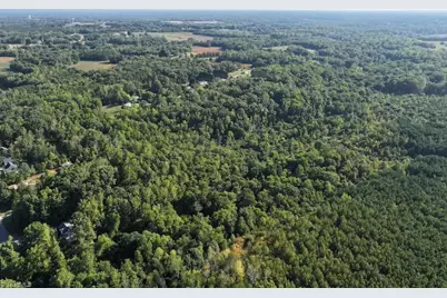 7809 Thomas Road, Stokesdale, NC 27357 - Photo 3