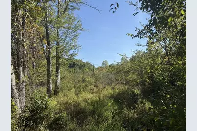 7809 Thomas Road, Stokesdale, NC 27357 - Photo 25