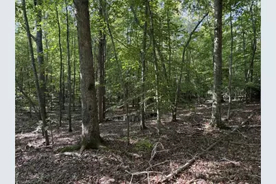 7809 Thomas Road, Stokesdale, NC 27357 - Photo 17