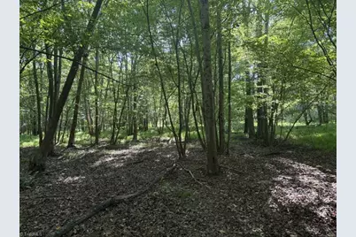 7809 Thomas Road, Stokesdale, NC 27357 - Photo 19