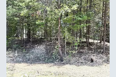 Tbd Ridge Run Road, Boomer, NC 28606 - Photo 15