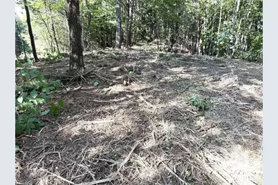 Tbd Ridge Run Road, Boomer, NC 28606 - Photo 3