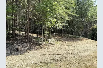 Tbd Ridge Run Road, Boomer, NC 28606 - Photo 13