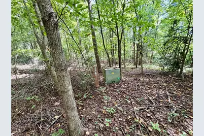 Tbd Antigua Drive, Moravian Falls, NC 28654 - Photo 5