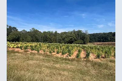 1300 Charity Church Road, Boonville, NC 27011 - Photo 3