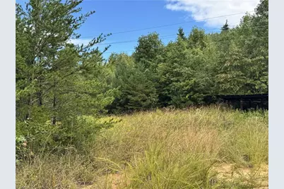 01 Cane Creek Church Road, McGrady, NC 28649 - Photo 31