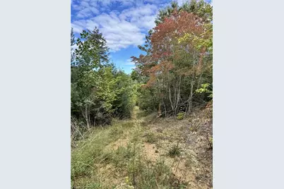 01 Cane Creek Church Road, McGrady, NC 28649 - Photo 15
