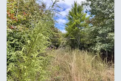 01 Cane Creek Church Road, McGrady, NC 28649 - Photo 23