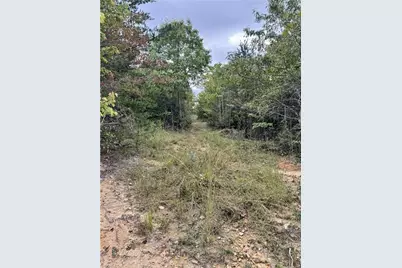 01 Cane Creek Church Road, McGrady, NC 28649 - Photo 13