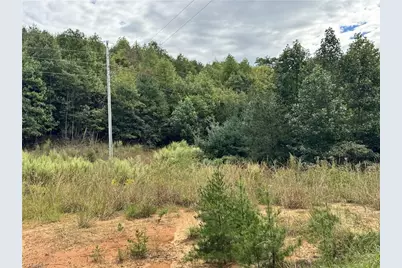 01 Cane Creek Church Road, McGrady, NC 28649 - Photo 35