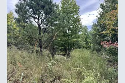 01 Cane Creek Church Road, McGrady, NC 28649 - Photo 19
