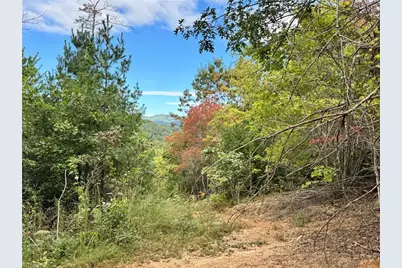 01 Cane Creek Church Road, McGrady, NC 28649 - Photo 5