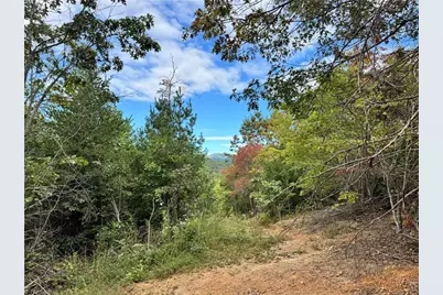01 Cane Creek Church Road, McGrady, NC 28649 - Photo 3