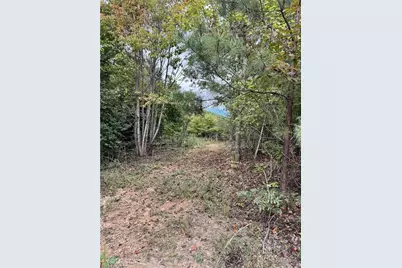 01 Cane Creek Church Road, McGrady, NC 28649 - Photo 21