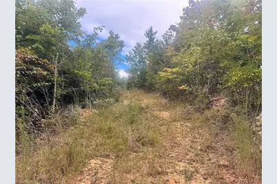01 Cane Creek Church Road, McGrady, NC 28649 - Photo 11