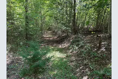 000 Friendly Grove Church Road, Millers Creek, NC 28651 - Photo 17