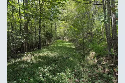 000 Friendly Grove Church Road, Millers Creek, NC 28651 - Photo 7