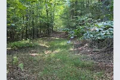 000 Friendly Grove Church Road, Millers Creek, NC 28651 - Photo 13