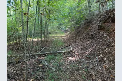 000 Friendly Grove Church Road, Millers Creek, NC 28651 - Photo 11