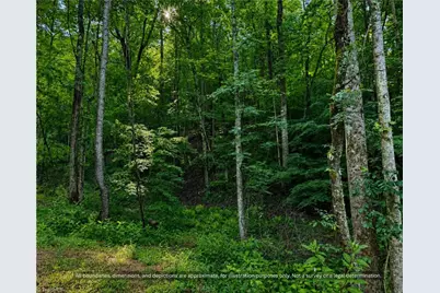 99999 Boone Gap Lane, Taylorsville, NC 28681 - Photo 13