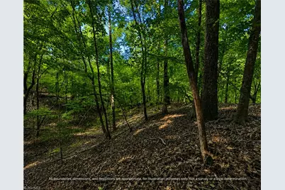99999 Boone Gap Lane, Taylorsville, NC 28681 - Photo 7