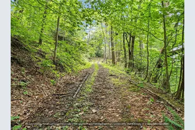 99999 Bee Branch Road, Bakersville, NC 28705 - Photo 15