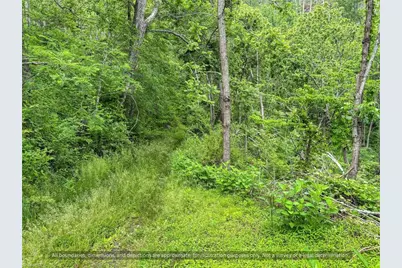 99999 Bee Branch Road, Bakersville, NC 28705 - Photo 17