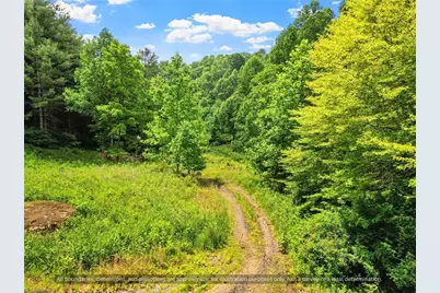 99999 Bee Branch Road, Bakersville, NC 28705 - Photo 11