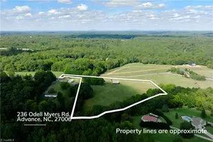 236 Odell Myers Rd, Advance, NC 27006 - Photo 23