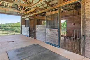 236 Odell Myers Rd, Advance, NC 27006 - Photo 5