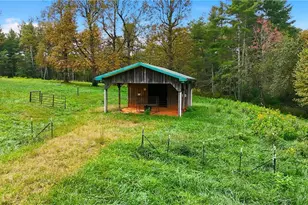 1167 New Hope Rd, Purlear, NC 28665 - Photo 49