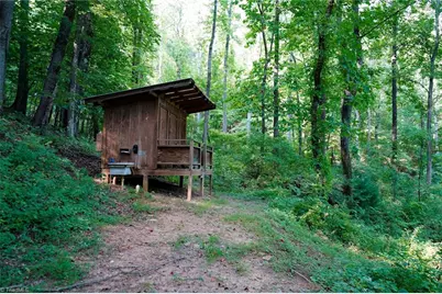 671 Ramey Orchard Road, Lowgap, NC 27024 - Photo 9
