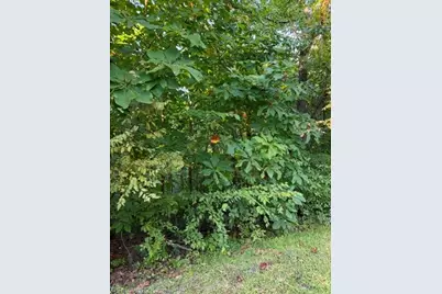 Tbd Fishers Peak View, Ennice, NC 28623 - Photo 15