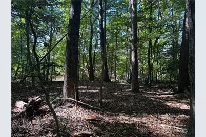 3.6 Maple Street #3.6 Acres, Jonesville, NC 28642 - Photo 5