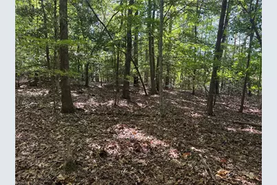 3.6 Maple Street #3.6 Acres, Jonesville, NC 28642 - Photo 7