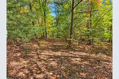 1198 Jackson Road #17, Westfield, NC 27053 - Photo 49