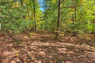 1198 Jackson Rd, Westfield, NC 27053 - Photo 49